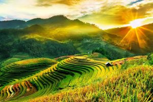 Vietnam In May: A Travel Experience You’ll Cherish For A Lifetime 1 780 crop mu cang chYi 2