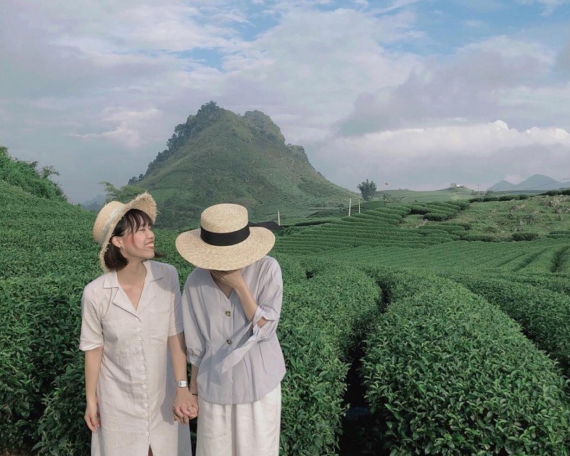 Discover the Beauty of Moc Chau by Motorcycle - 3 Days with AZ MOTORBIKES 1 Kinh nghiệm du lịch đồi chè Mộc Châu chi tiết nhất 2023